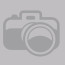 Photo temporaire